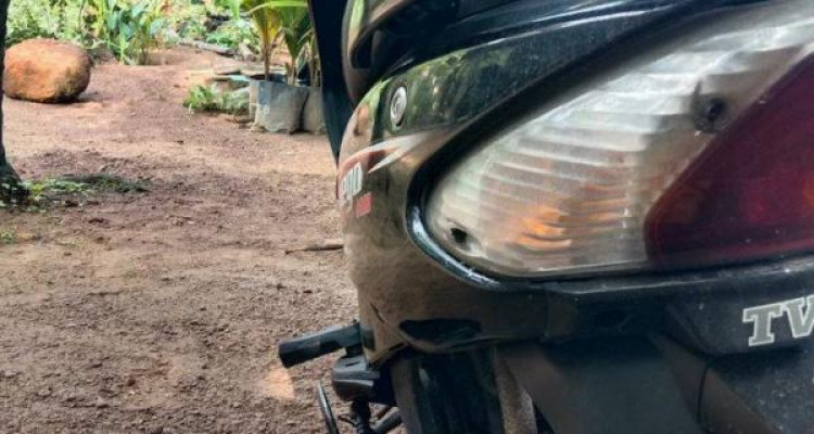 TVS WEGO 2017