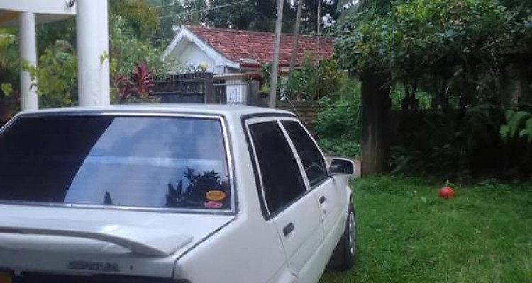 TOYOTA COROLLA AE81 1984