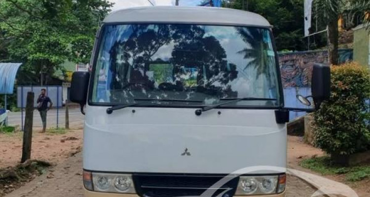 MITSUBISHI BOLA ROSA 2012
