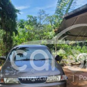 NISSAN SUNNY FB14 1996