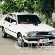 NISSAN SUNNY B11 1983