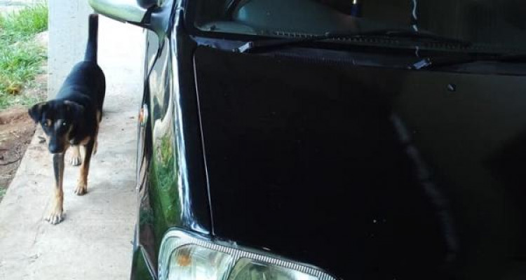 SUZUKI ALTO SPORT 2006
