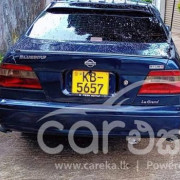 NISSAN BLUEBIRD 2000