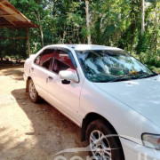 NISSAN SUNNY FB14 1996