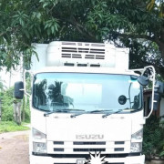 ISUZU FREEZER 2012