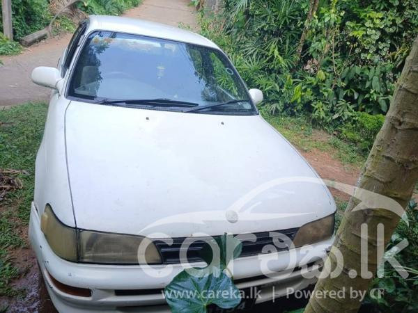 TOYOTA COROLLA 1992