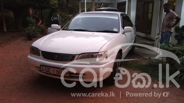 TOYOTA COROLLA 1998