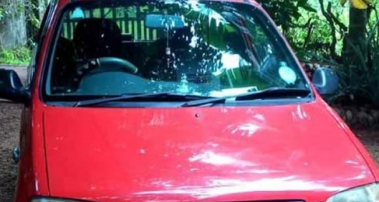 SUZUKI ALTO SPORT 2010