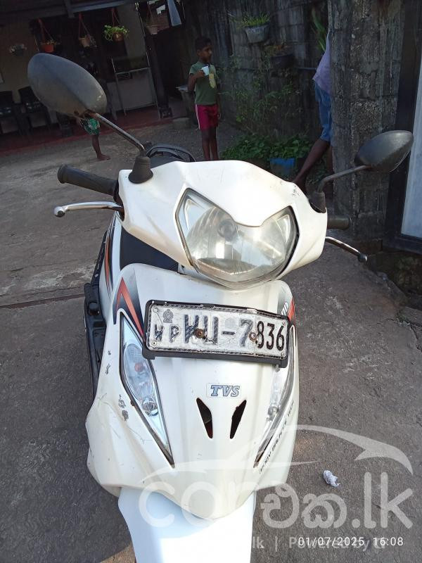 TVS WEGO 2011