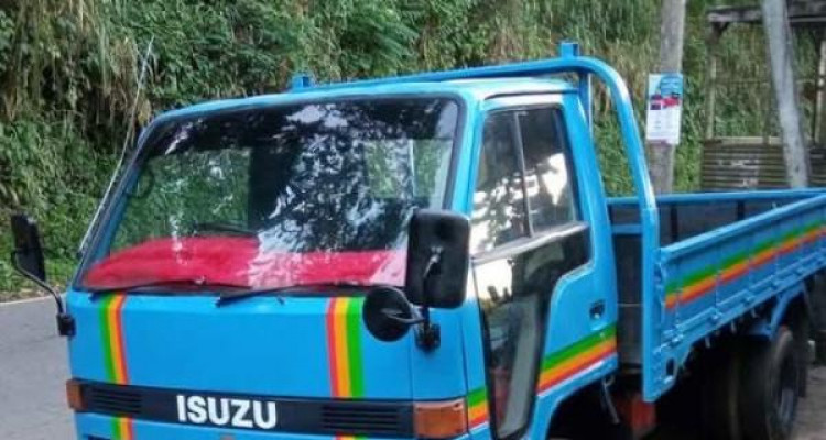 ISUZU ELF 1979
