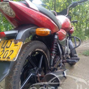 BAJAJ XCD125 2008