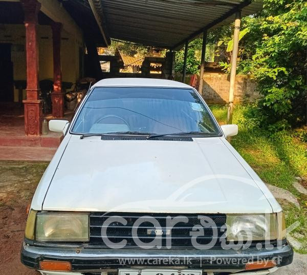 NISSAN SUNNY B11 1982