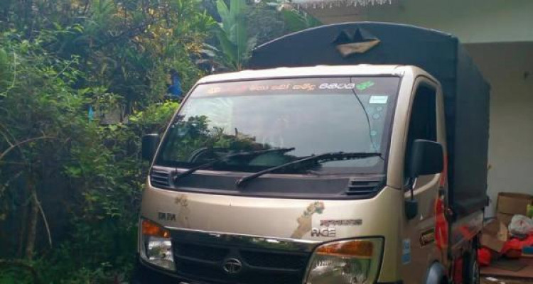 TATA ACE 2015