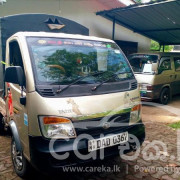 TATA ACE 2015