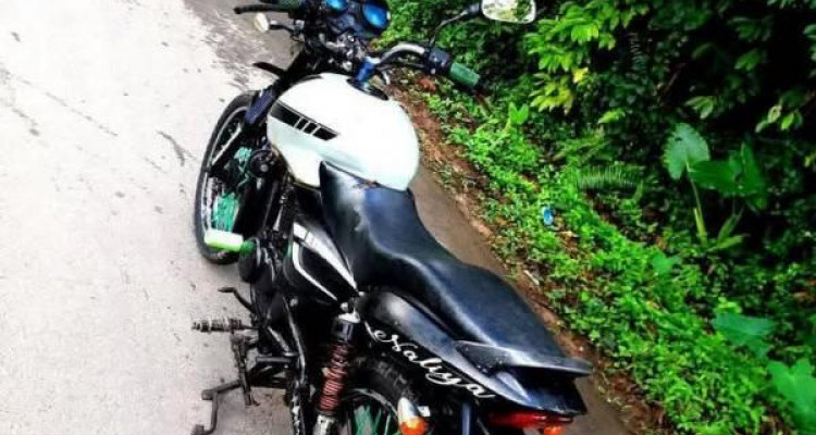 BAJAJ PULSAR 150 2005