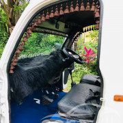 MAHINDRA MAXXIMO PLUS 2013