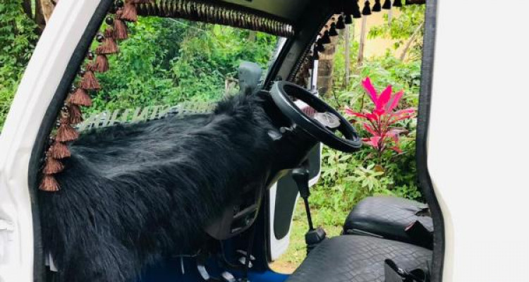 MAHINDRA MAXXIMO PLUS 2013