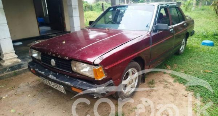 NISSAN BLUEBIRD 1978