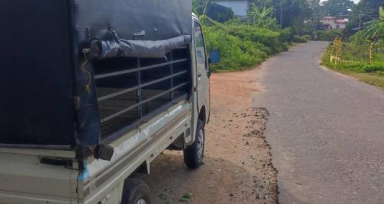 TATA ACE 2010