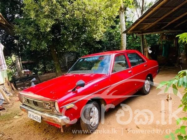 NISSAN SUNNY B310 1979