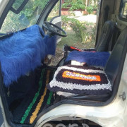 TATA ACE 2010