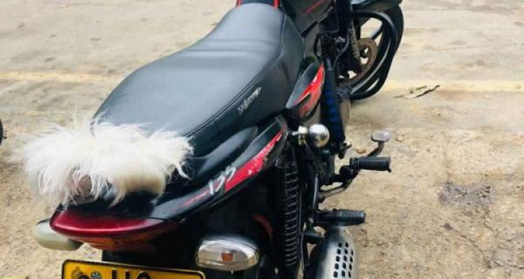 BAJAJ DISCOVER 135 2010