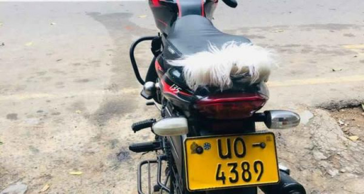 BAJAJ DISCOVER 135 2010