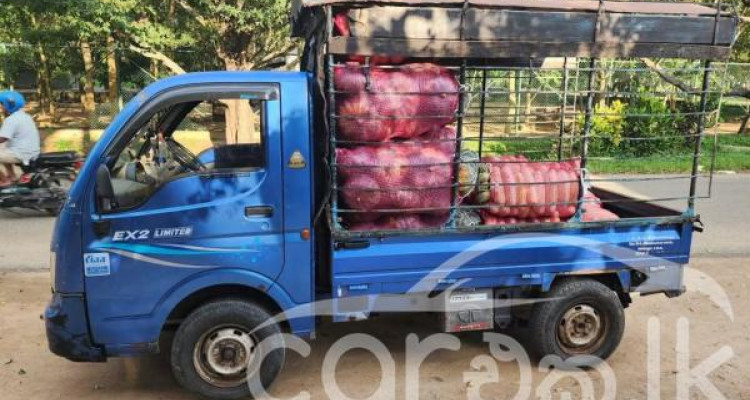 TATA ACE 2015