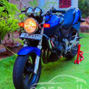 HONDA HORNET 2012