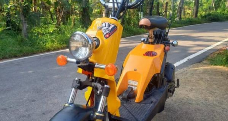 HONDA BITE 2024