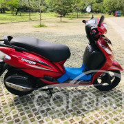 TVS WEGO 2015