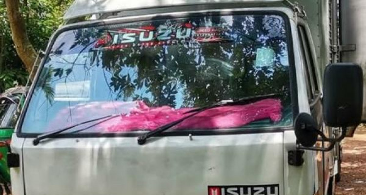 ISUZU LORRY 1996