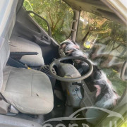 TOYOTA TOYOACE 1997