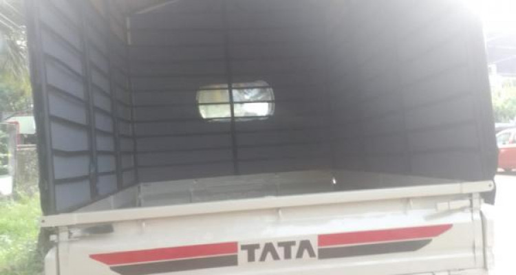 TATA DIMO BATTA 2008