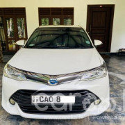 TOYOTA AXIO 2016