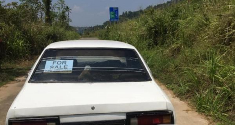 NISSAN SUNNY B10 1978
