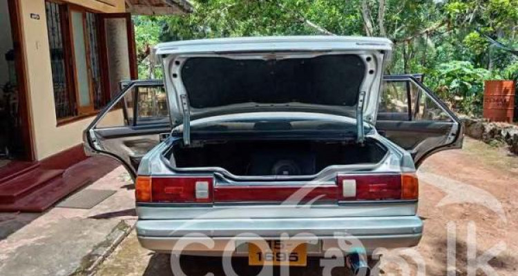 NISSAN TRAD SUNNY 1988