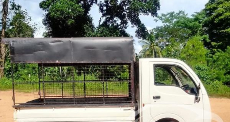 TATA ACE 2008