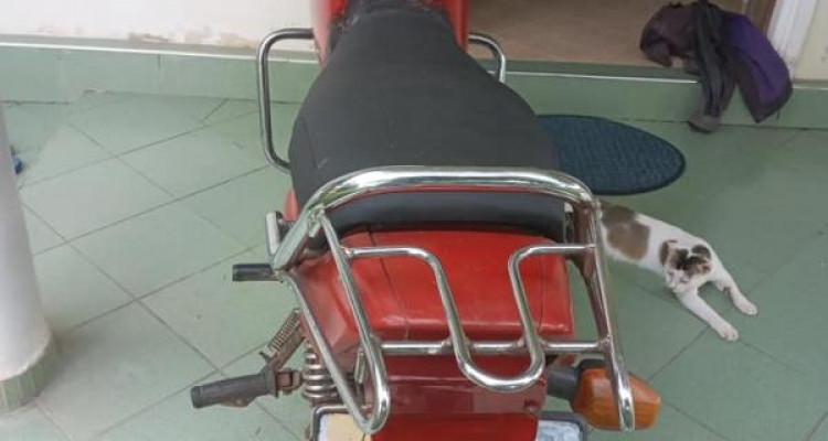 HERO HONDA SPLENDER 2003