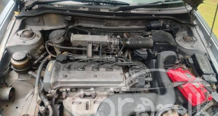 TOYOTA TERCEL 1996