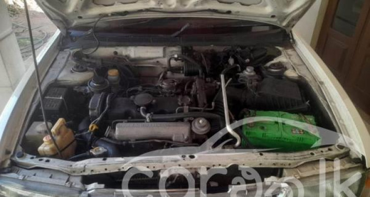 NISSAN SUNNY FB14 1997