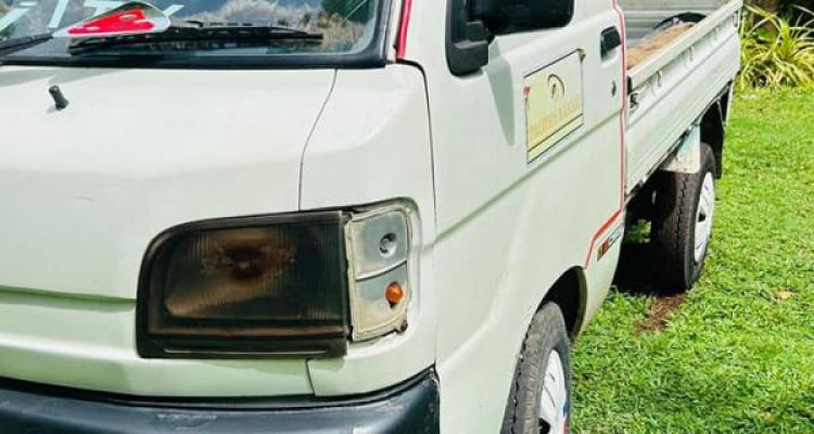 DAIHATSU HIJET 1999