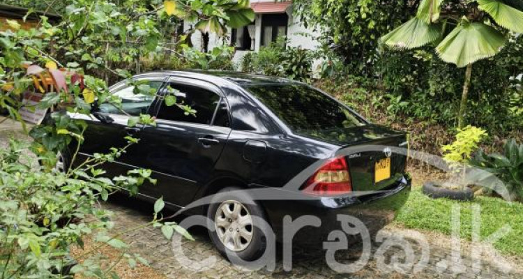 TOYOTA COROLLA 121 2001