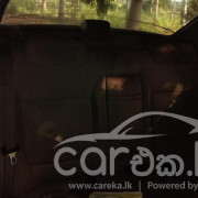 NISSAN SUNNY 2001
