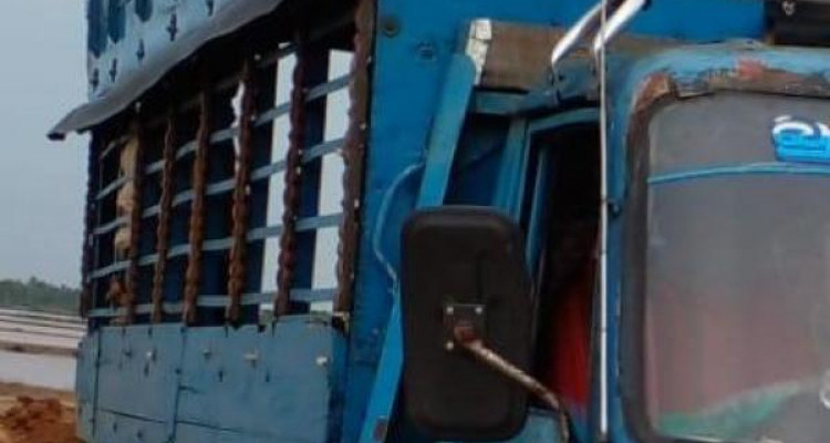 ISUZU ELF 1978