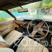 NISSAN SUNNY B310 1983