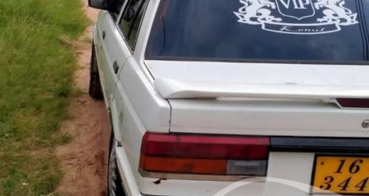 NISSAN TRAD SUNNY 1988