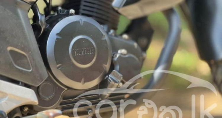 YAMAHA FZ V3 2019