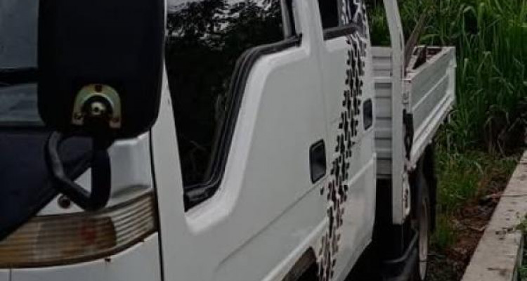 FOTON CREW CAB 2010