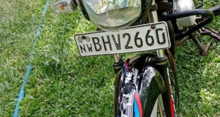 BAJAJ PULSAR 135 2019